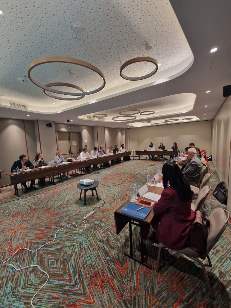 Легалната миграција и правата на странците во фокус на втората тематска дискусија 4 viber image 2026 03 17 15 04 15 497 1